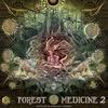 Medicine Walk - Kundalini Project