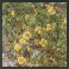 Abacab Trance - Vincent Pellerin
