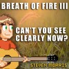 Can't You See Clearly Now? - Steven Morris