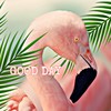 Good Day - Flamingos