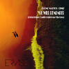 You Will Remember (Kelvin Richard Remix) - Bruno Mattos&Diniz