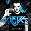 Voices In The Night (WishinWell Remix) - Merk&Pete Wedge