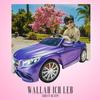 Wallah ich leb - Ardian Bujupi