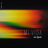 Mi Vida - Lost Synths