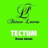Kish Beach - Tectum