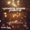 Life Searching (Original Mix) - Domestic Science&Tom Lown