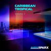 Caribbean Carnival - Andy L