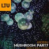 Mushroom Party (Urannia Remix) - Vicissu