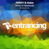 World Of Falsehoods (Aamos Remix) - FAWZY&Hotze&AAMOS