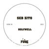 Holywell (Original Mix) - Seb Zito