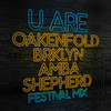 U Are (Festival Mix) - Paul Oakenfold&BRKLYN&Amba Shepherd