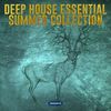 Happy Loop (Original Mix) - Stube