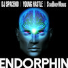 ENDORPHIN (feat. YOUNG HASTLE) - DJ SPACEKID&YOUNG HASTLE