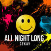 All Night Long (Original Mix) - Cekay Pellegrini