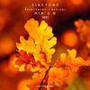 Authorize (Remastered) - Sinetone