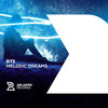 Melodic Dreams - D72
