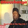 Aint Nothing Like(feat. Young Don) (Explicit) - Stevobanga&Young Don