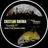 Chameleon (Original Mix) - Cristian Guerra