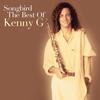 Theme From Dying Young - Kenny G