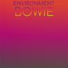 Environment Bowie - Mylene Rully