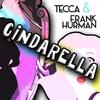 Cindarella (Jean Aita Remix) - Tecca&Frank Hurman