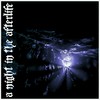 A Night in the Afterlife (Explicit) - Lost Outrider&Kamiyada+