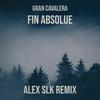 Fin Absolue (Remix) - Alex Slk