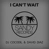I Can't Wait (Original Mix) - David Diaz&DJ Cocodil