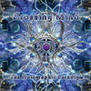 Psy Crise (Original Mix) - Crossing Mind