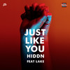 Just Like You (feat. Lake) - Lake&HIDDN