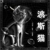 波斯猫 (cover: S.H.E) - 乐栖谷&鱼好好&茯苓