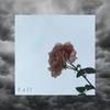 Fall(feat. Megz) (Explicit) - Kave&Megz