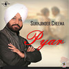 Tere Naal (feat. Renu) - Sukhjinder Cheema&Renu