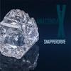 Snapperdrive (Club Mix) - Anaconda X