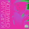 Chameleon (Original Mix) - Kardano