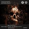 Destruction of Humanity (Circular Discharge Remix) - Brainpain