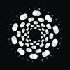 Flea In Your Ear - Simian Mobile Disco