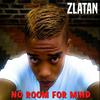12 Rounds with Failure - Zlatan