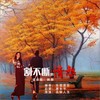 何时才能再相遇（现代舞广场舞， 男伴奏）6 (伴奏) - 枫舞