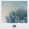LYCA (Explicit) - Vigo