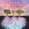 Spore To The Floor (Original Mix) - Mandala (UK)&Hypnocoustics