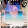 Kind of Feelings - Leo Barros&Razmara