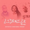 Lizwile (Remix) - Sandra Ndebele&Professor&Solyd The Plug