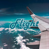 Flight - Mark Goldswag