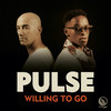 Willing To Go (Instrumental Mix) - Pulse