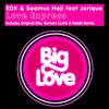 Love Express (Original Mix) - jerique&EDX&Seamus Haji