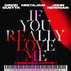 If You Really Love Me (How Will I Know) (Extended) - David Guetta&MistaJam&John Newman