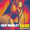 Jane (Sam Deep Remix) - Skip Marley&Ayra Starr&Sam Deep