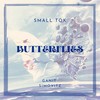 Butterflies (Extended Mix) - Small ToK&Ganit Simovitz