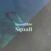 Inaudible Squall - Canice